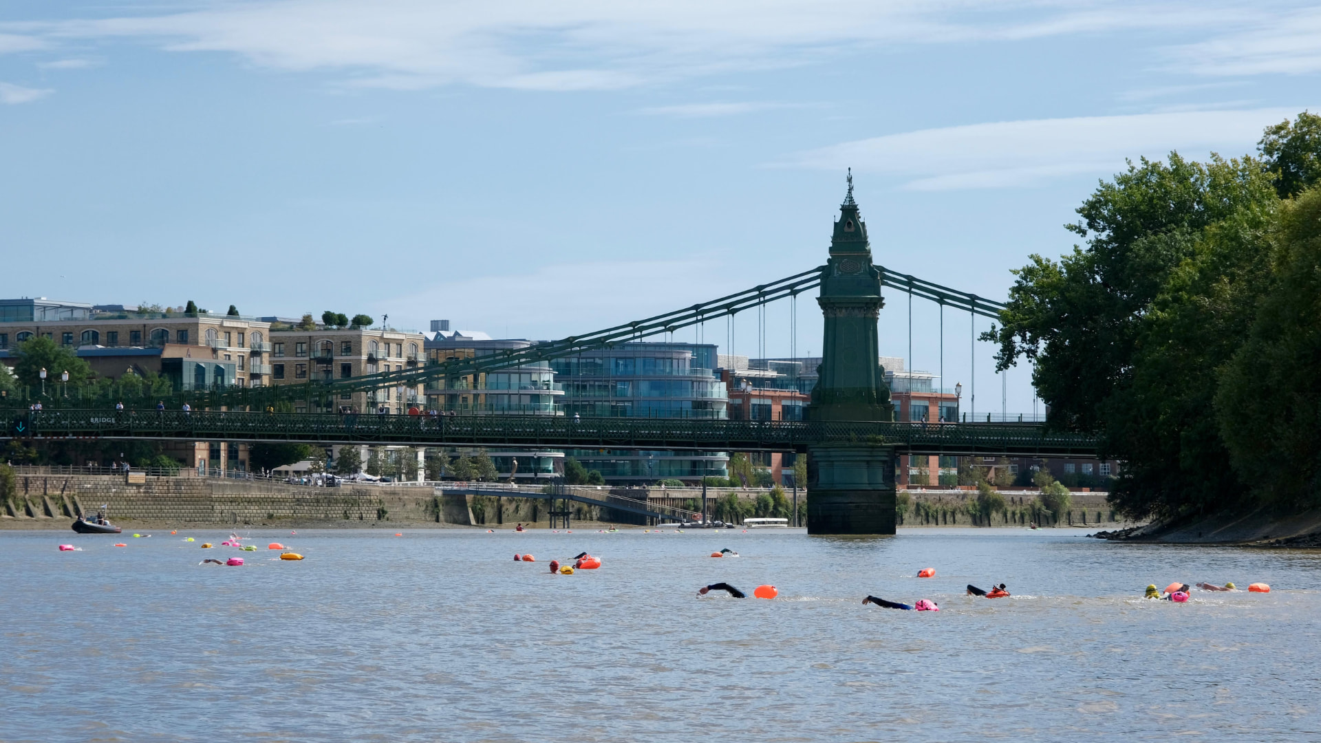 Swimmers spread across the Thames with Hammersmith Bridge behind them