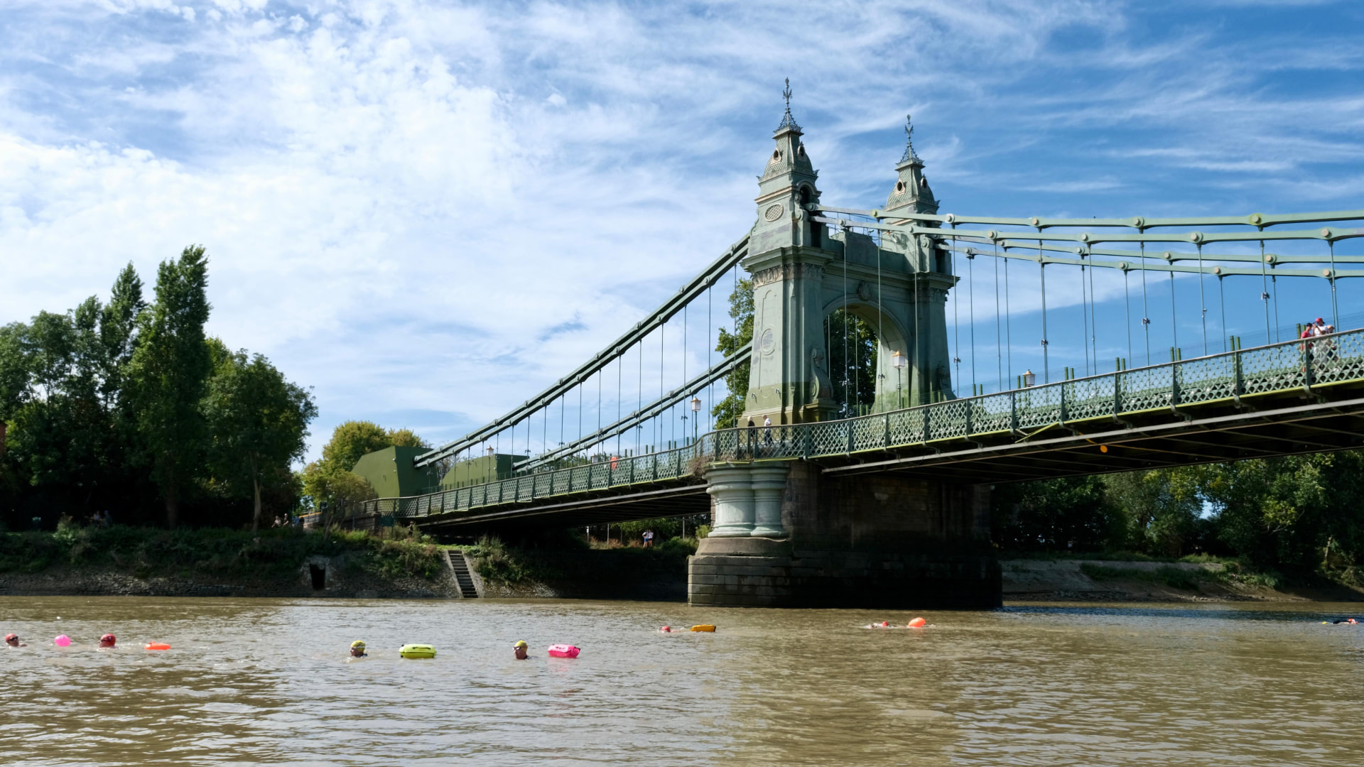 A pack of swimmers in the Thames beneath Hammersmith Bridge