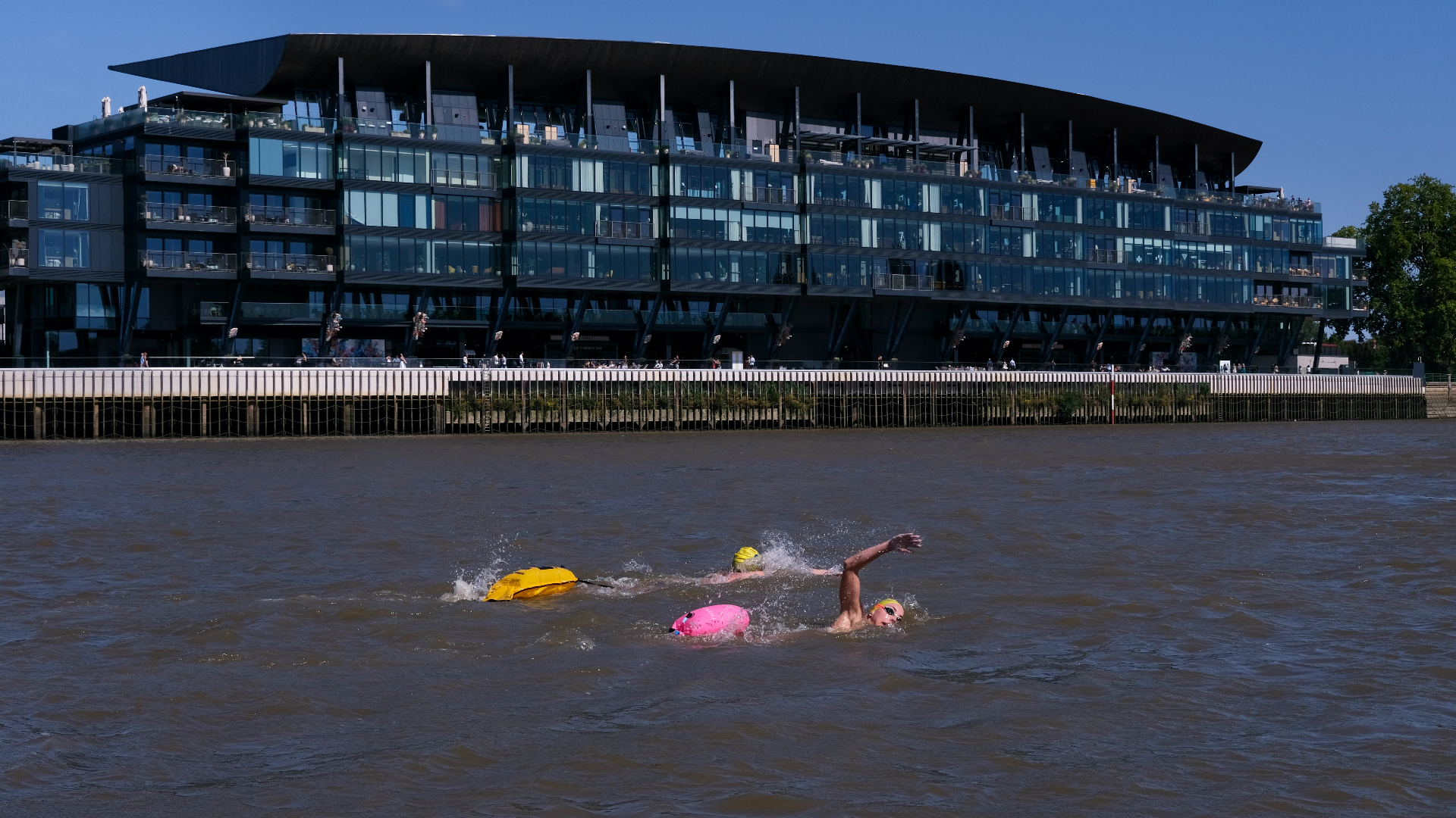 Swimmers on the Thames in front of Fulham's Craven Cottage