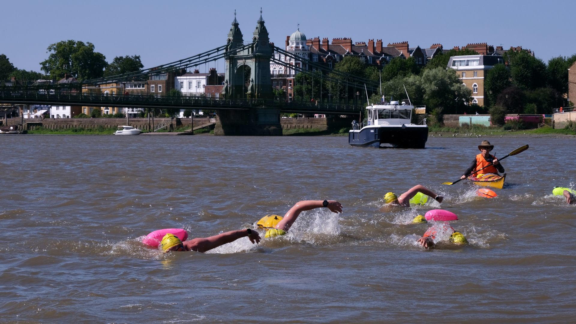 Open-water swimmers powering past Hammersmith Bridge on the Thames